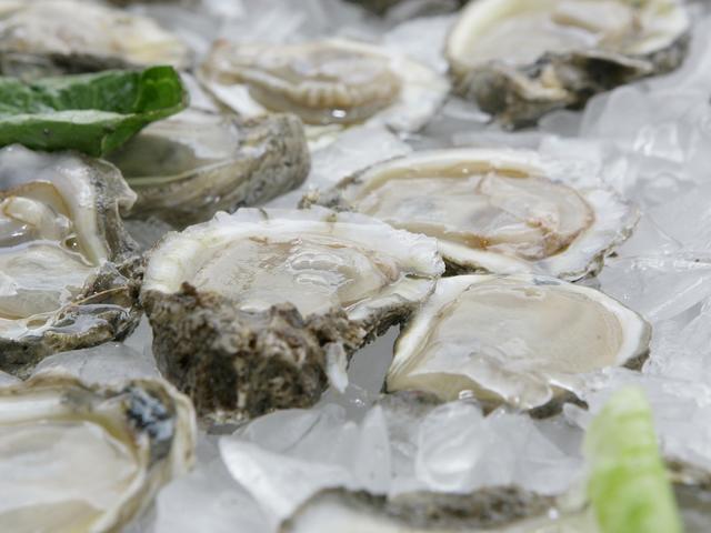 Louisiana Oysters