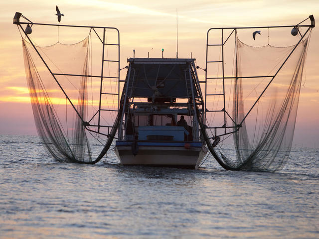 Louisiana Shrimp Boat