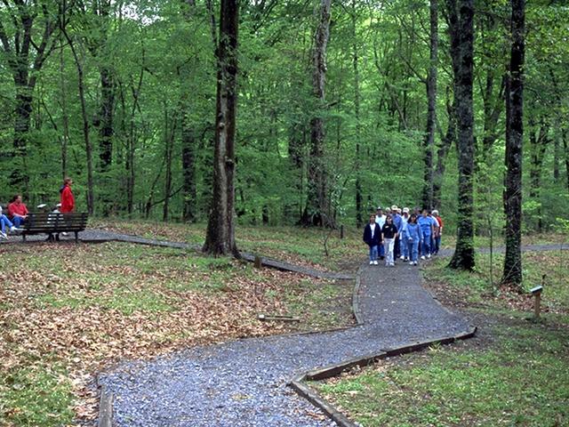 The Arboretum's trails lead through a variety of foliage, offering a unique look at Louisiana's natural resources.