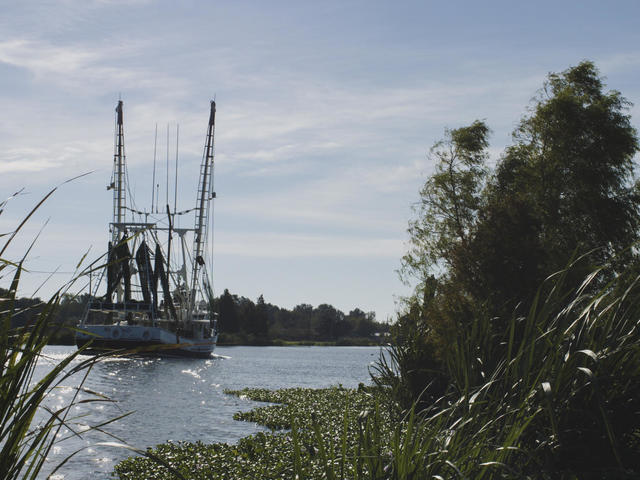 Shrimp Boat in Bayou Lafourche