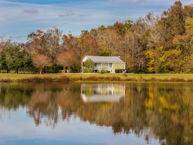 Sweet Surrender Cottage View