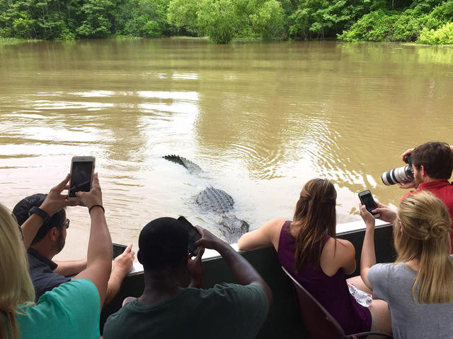 Get up close and personal with the wildlife!