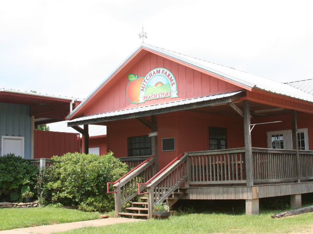 Farm Facts: Peaches - Florida Farm & Family