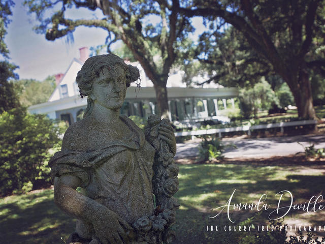 Myrtles Plantation Photo 10