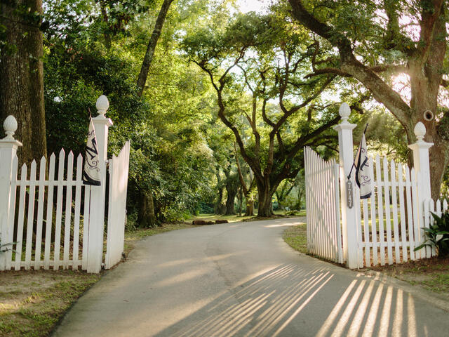 Myrtles Plantation Photo 5