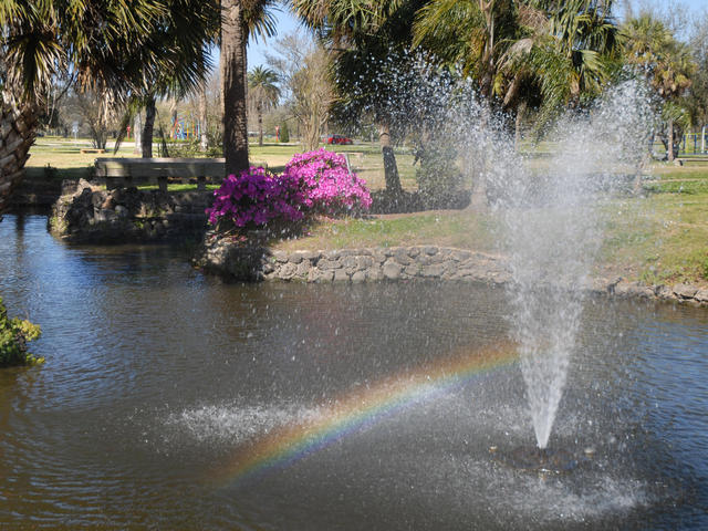 New Orleans City Park Photo 3