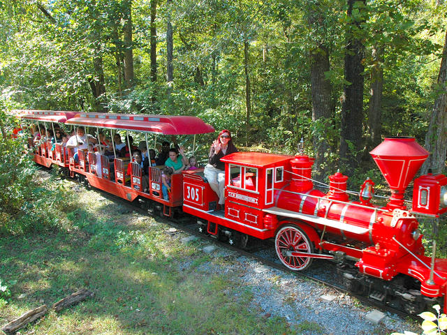 Cypress Bayou Railroad at Baton Rouge Zoo Photo 9