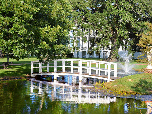 The Iris Pond, with the Rotunda in the background