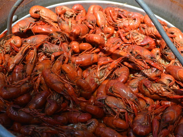 Boiled Crawfish