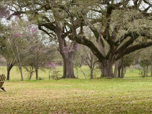 Our Lady of the Oaks Retreat House Photo 5