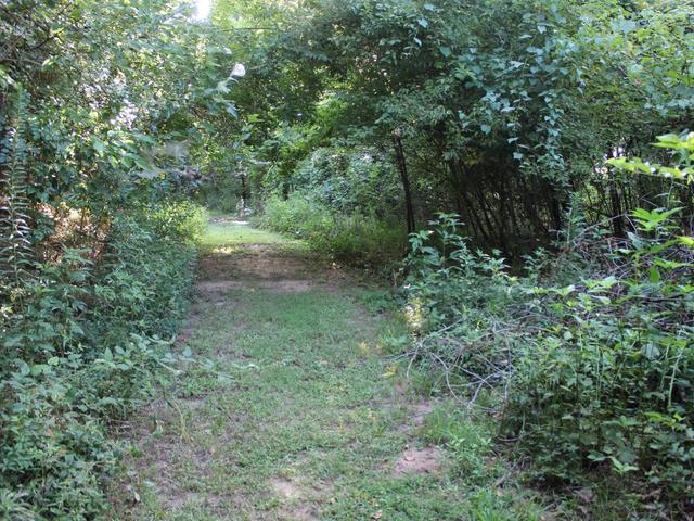Red River National Wildlife Refuge Photo 5
