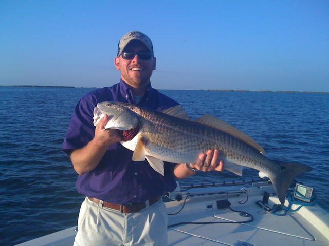 A Louisiana Redfsh