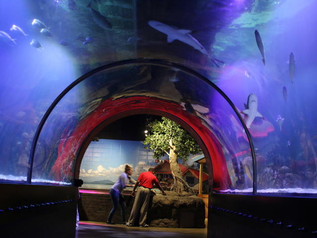 Shreveport Aquarium Photo 4