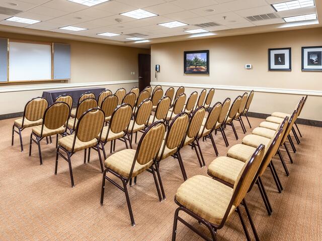 Meeting / Reunion Room
