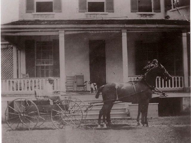 Horse and Buggy at Southdown 1890's