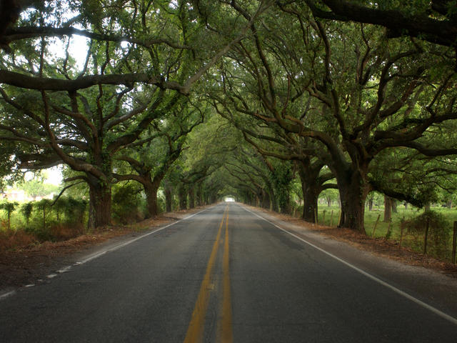 San Bernardo Scenic Byway