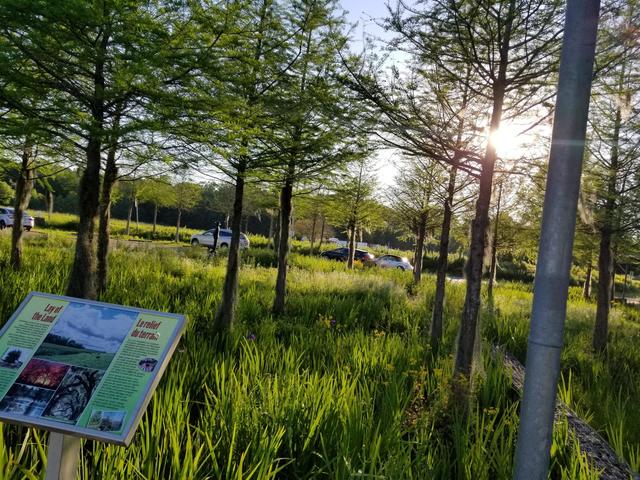 Bilingual Outdoor Exhibit