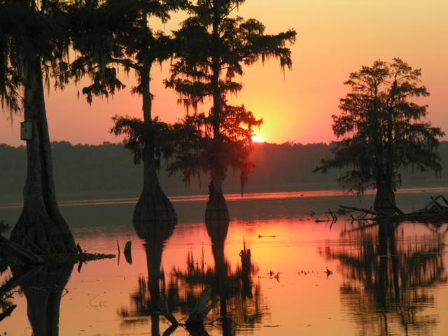 Lake Martin at sunset