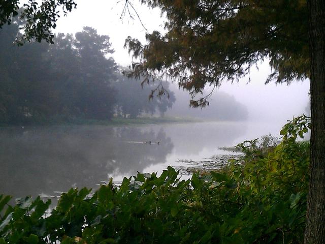 morning mist on Bayou Teche