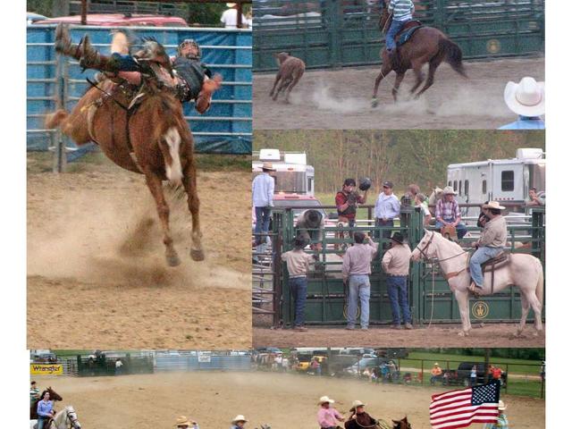 Youth Rodeo