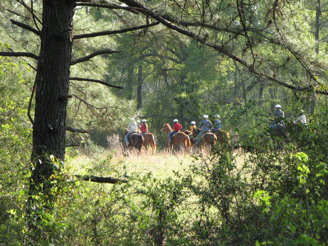 Trail Riding