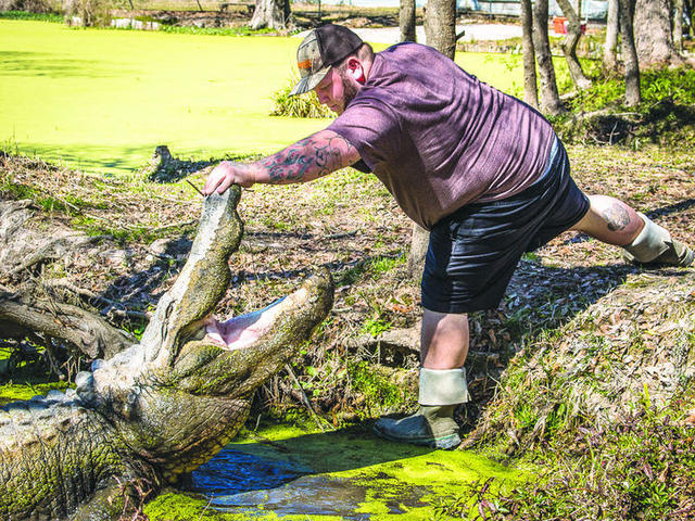 Kliebert's Alligator Farm