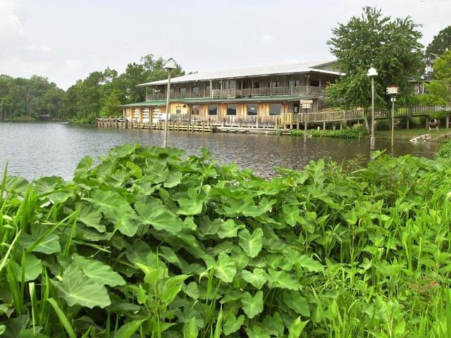 Tunk's Cypress Inn on Kincaid Lake Photo