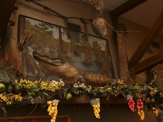 Rustic Louisiana Decor at Tunk's Cypress Inn Photo 3