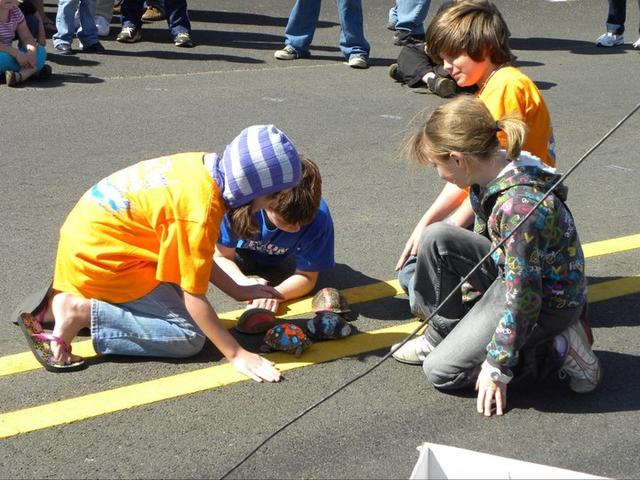 TURTLE RACES AT THE CORNEY CREEK FESTIVAL IN BERNICE, LA.