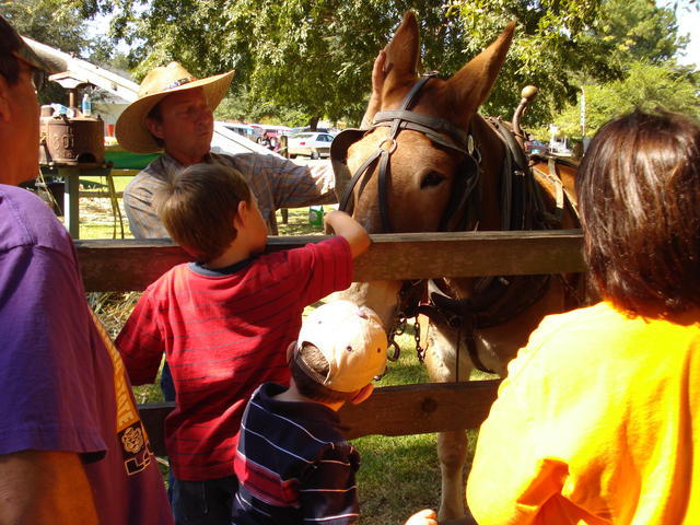 Come join us for Sugar Fest on the first Sunday in October!