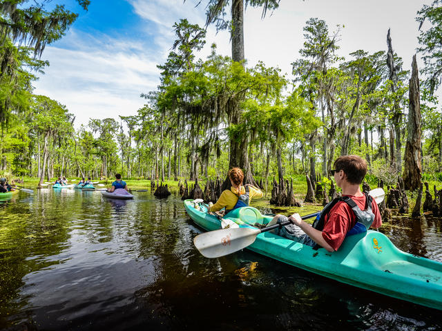 Kayak Swamp Tour