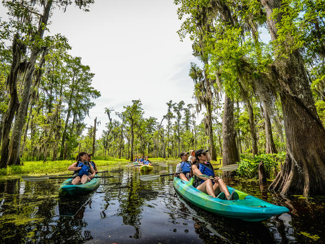 Manchac Magic Kayak Swamp Tour