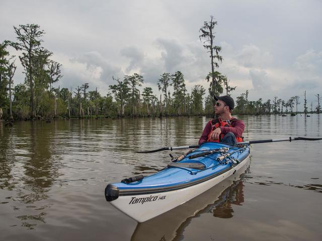 Paddling on a Wild Louisiana Tours