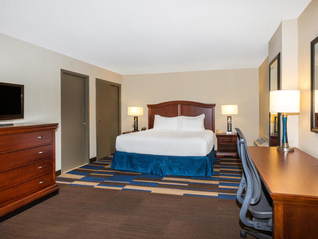Oversize King Bedroom