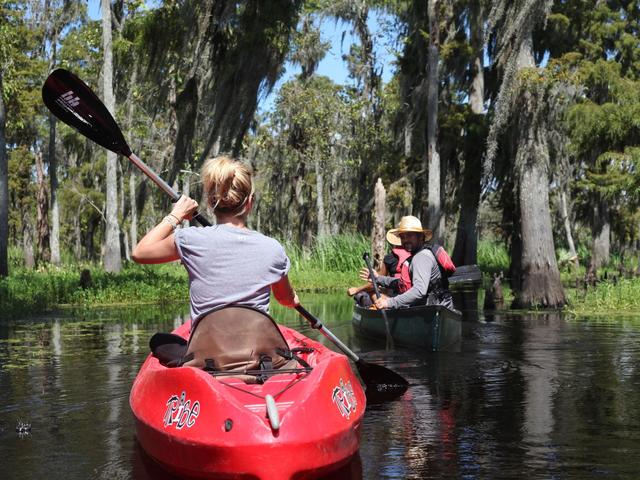 Beyond the Bayou Tours Photo