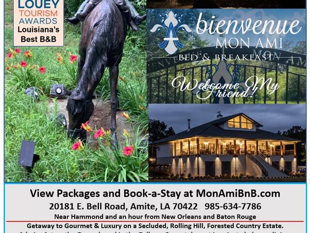 Bienvenue Mon Ami Bed and Breakfast and Art Gallery | Explore