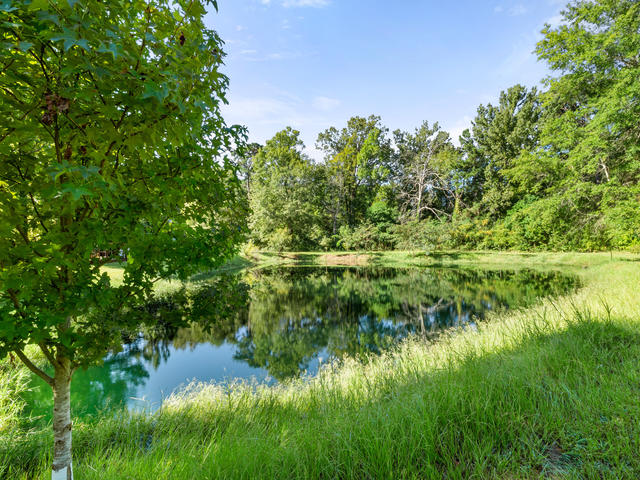 We have recently stocked the pond, so no fishing yet! 