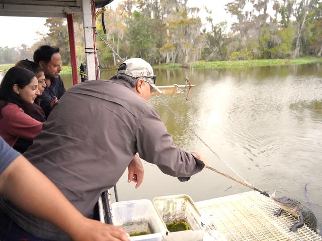 A CAJUN MAN’S SWAMP TOURS AND ADVENTURES Photo 3