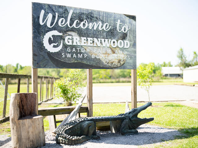 Greenwood Gator Farm and Tours Photo