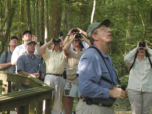 BREC's Bluebonnet Swamp Nature Center Photo 5