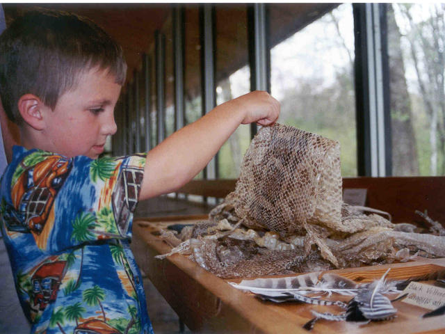 BREC's Bluebonnet Swamp Nature Center Photo 4