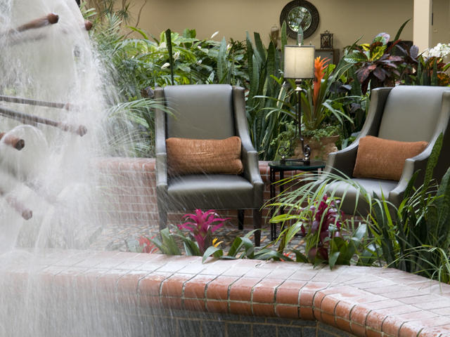 Tranquil Seating Area within Atrium