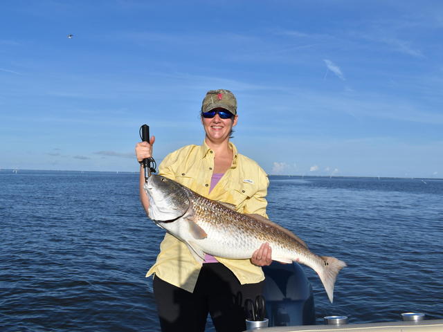 Victory Bay Charters Photo