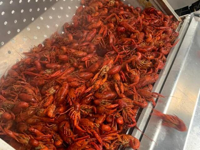 Boiled and Live Crawfish