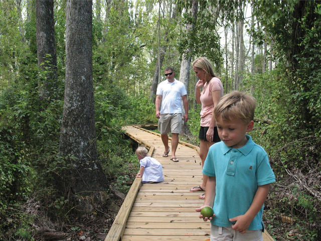 Mosaic Boardwalk at Black Swamp in Trees & Trails at LSU AgCenter Botanic Gardens