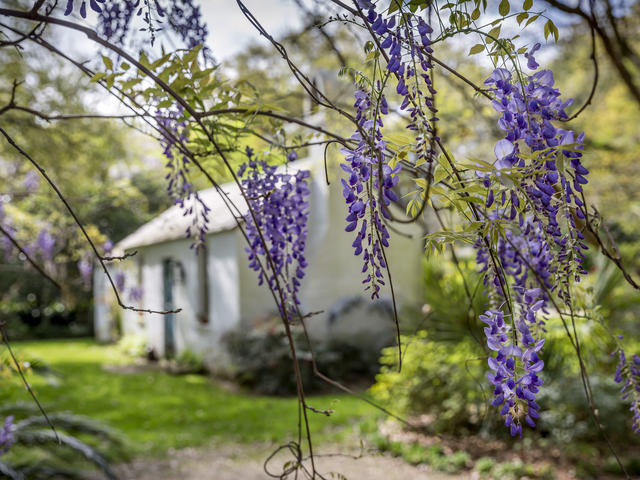 The Garden House in Windrush Gardens