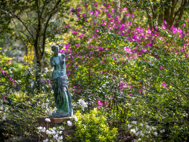 Windrush Gardens