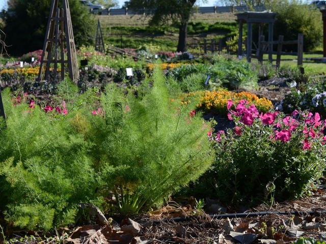 Children's Garden in LSU AgCenter Botanic Gardens