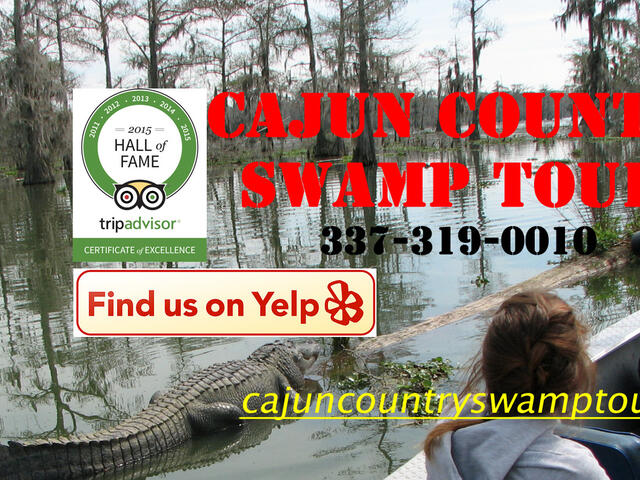 Cajun Country Swamp Tours Photo