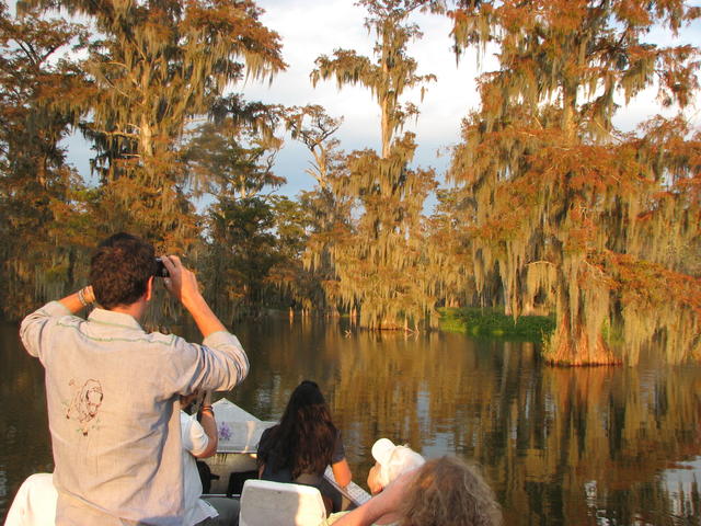 cypress swamp       fall